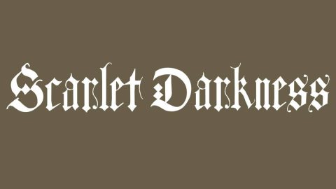 50% Off Clearance — Buy 3+ Items